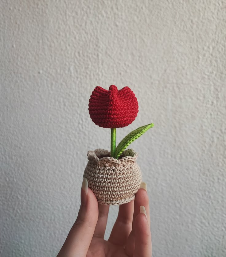 Beautiful crochet creations by Zoha Collection for women in Pakistan